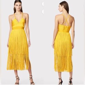 Herve Leger Fringed Dress With Plunge Neckline. Size small.